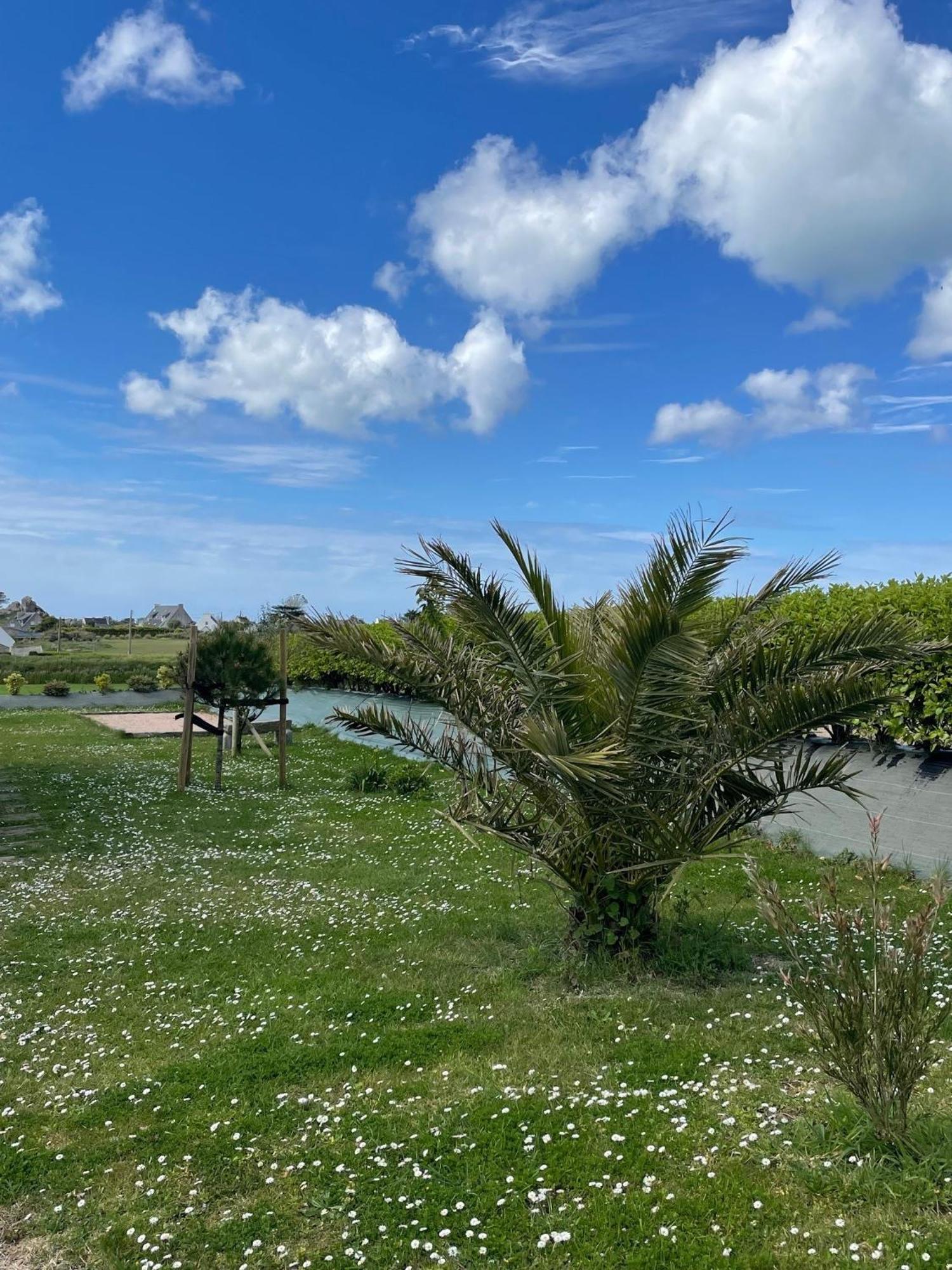 Villa Ty Marie Neiz Vran - Luxe Vue Mer, 80 Metres De La *